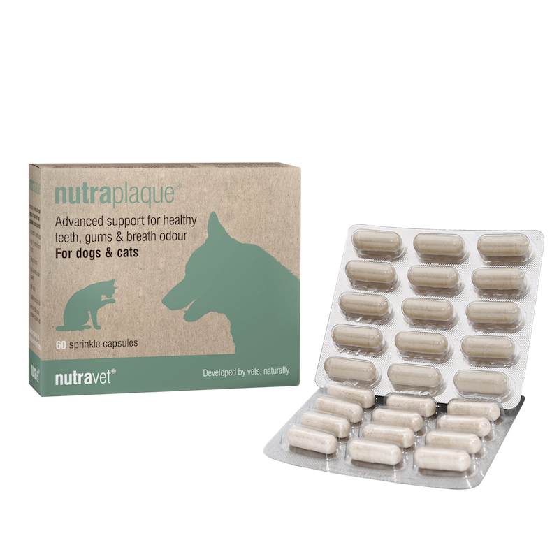 withbranding's tweet photo. New product launch for one of our clients @nutravet - we created new packaging and marketing materials for nutraplaque!

#marketing #branding #packaging https://t.co/uabVvSZXEu