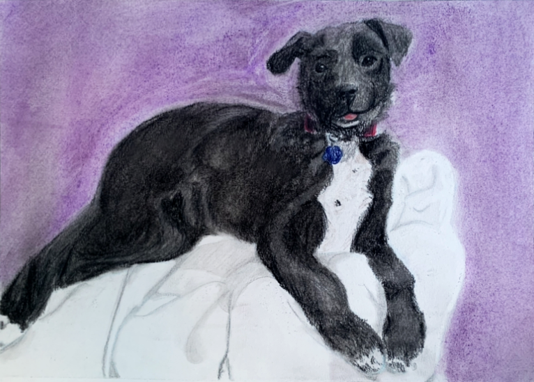 wooloowooz's tweet photo. hi everyone! im doing pet portraits now. please help me support myself <3 https://t.co/RYVHlAm9cD https://t.co/CN3iTxgG1K