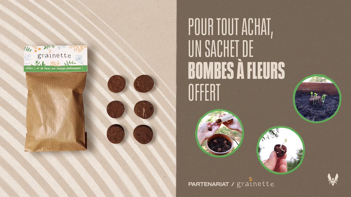 Protéger les 🐝 c'est leur offrir un moyen de se nourrir 🌸🌻🌷
Dès aujourd'hui et pour une durée limitée, à chaque achat sur le shop ou à <a href="/VitalityHive/">Vitality Hive 🐝</a> vous recevrez un sachet de bombes à fleurs <a href="/GrainetteFrance/">Grainette</a>  
Lancez, c'est planté ! 💣🌼🌻🌸

🐝 grainette.com