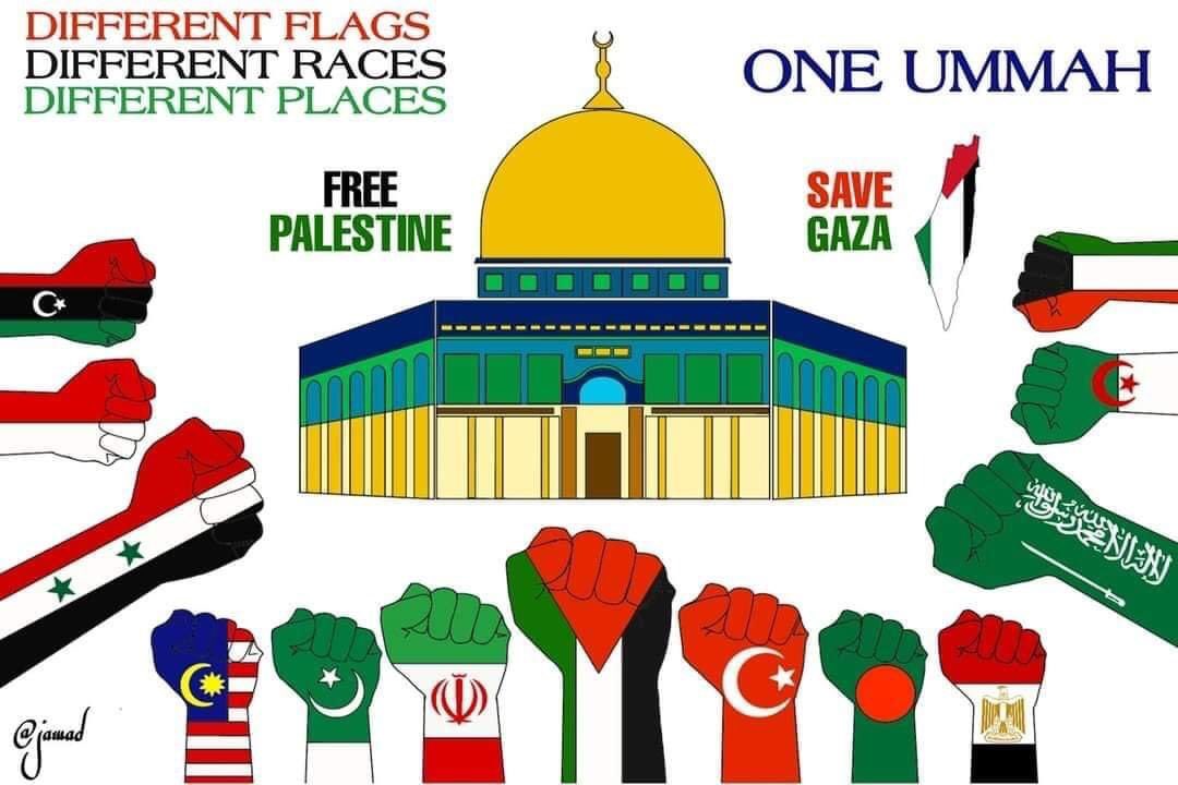 mohimarif92's tweet photo. @Omar_Gaza https://t.co/0Sw56gvRB6