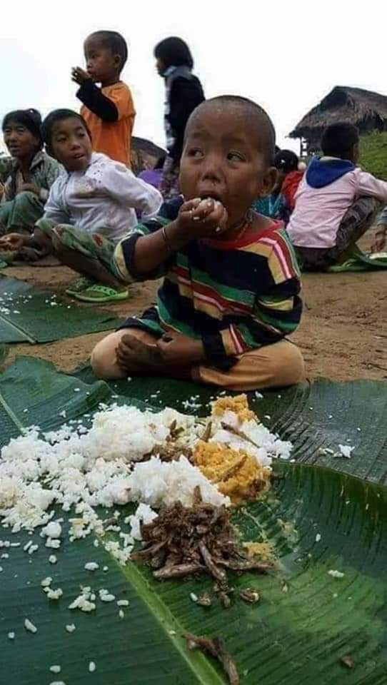 #SaveMyanmar 
#whathappeninginmyanmar 
#speakout