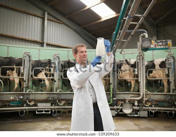 Amy Jackson tweet media