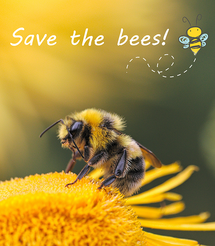milliamp_uk's tweet photo. Today is the world bee day! These little pollinators make sure that nature keeps thriving and we have food to eat. Please consider planting some bee friendly flowers for the summer or support beekeepers by buying some honey! https://t.co/nEl0MBEv1B