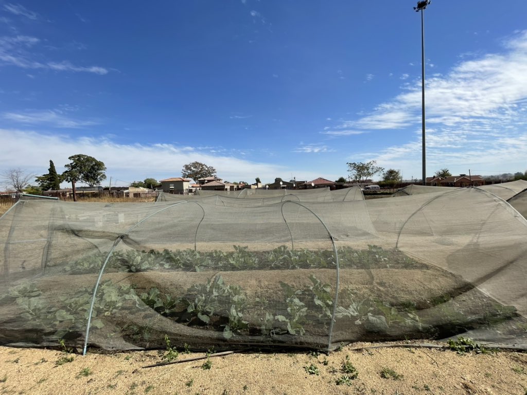 Morakane_'s tweet photo. Today we visited two sustainable livelihood projects in Sedibeng Region, our first stop was at the Bokamoso Skills and Economic Development Centre.
 
Sustainable Livelihood Programs are aimed at reducing poverty and inequality. 

#GrowingGautengTogether🇿🇦 https://t.co/wnzoYEtvBt