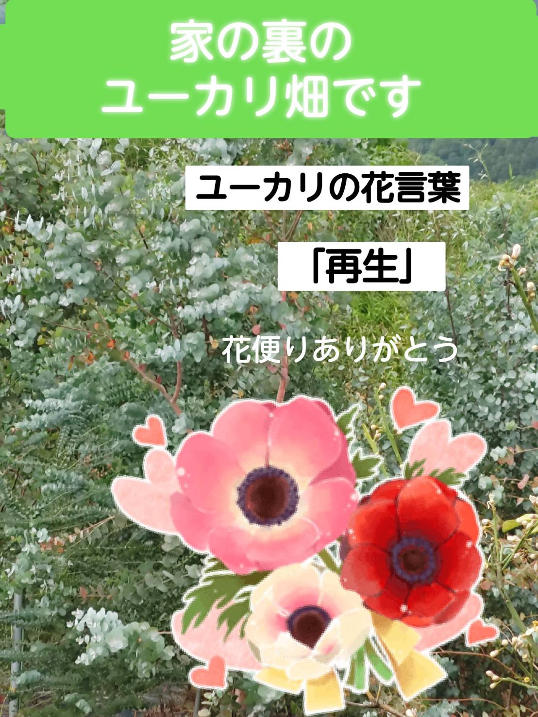 竹島宏スタッフ 公式 花かご 花かごが届きました シックな大人ピンクが お洒落な花たち 緑の差し色でユーカリ ユーカリの花言葉は 再生 とてもいい香りがします 寝室に飾ると良いですよ 今日も１日お疲れ様でした ひろネット 花便り