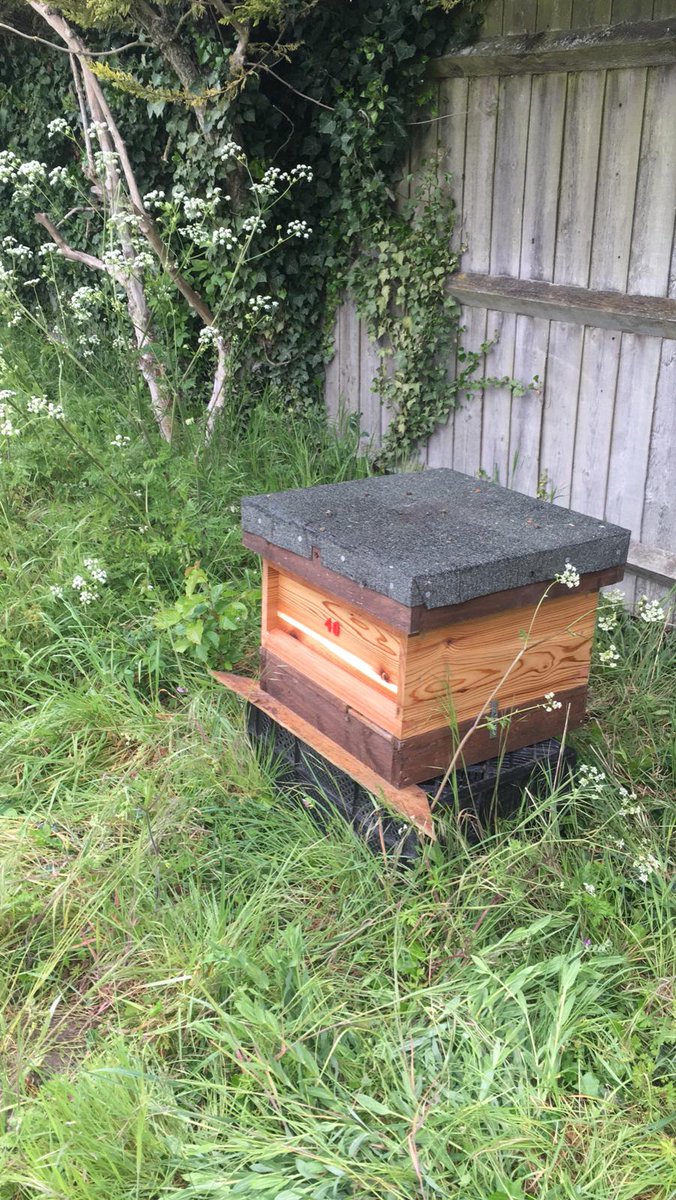 When a swarm of tired bees decide to take refuge on our construction site, James Cook knew what to do. He arranged for a local beekeeper to come and safely collect the swarm. Within an hour, they were safely nestled in their new hive. Great work James! 🐝🐝
