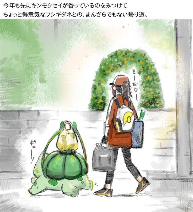フシギダネとトレーナーまとめ(19/20) 