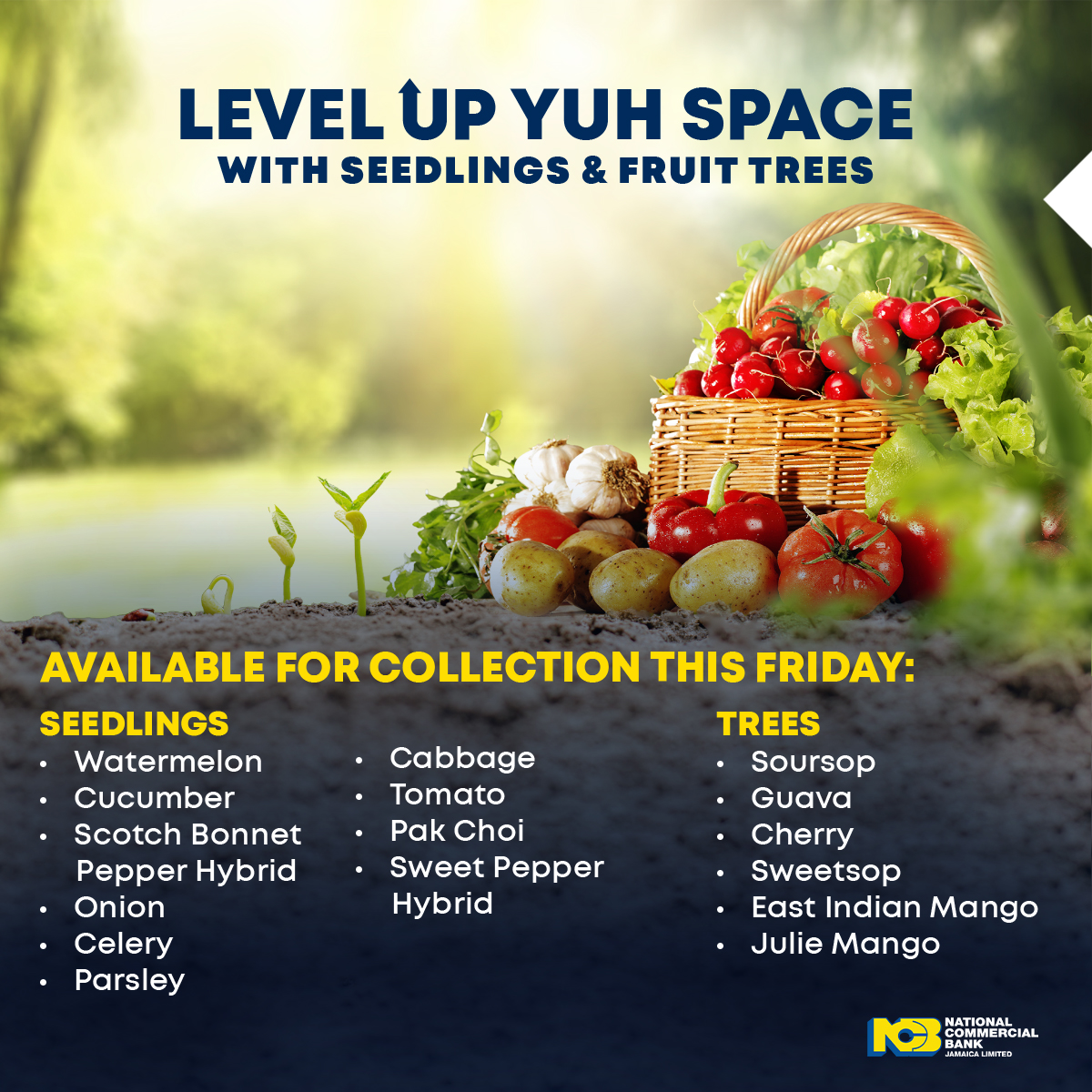 Fri, 21st May, we’ll be distributing seedlings and fruit trees at these locations! See options in the photo. 

1. Kgn &amp; St. Andrew
95 Old Hope Rd
2. St. Catherine 
Rose Hall Training Cntr
3. St. Mary
Lewis Nursery
4. Clarendon
Denbigh Ground
5. St. James
RADA Office, MoBay