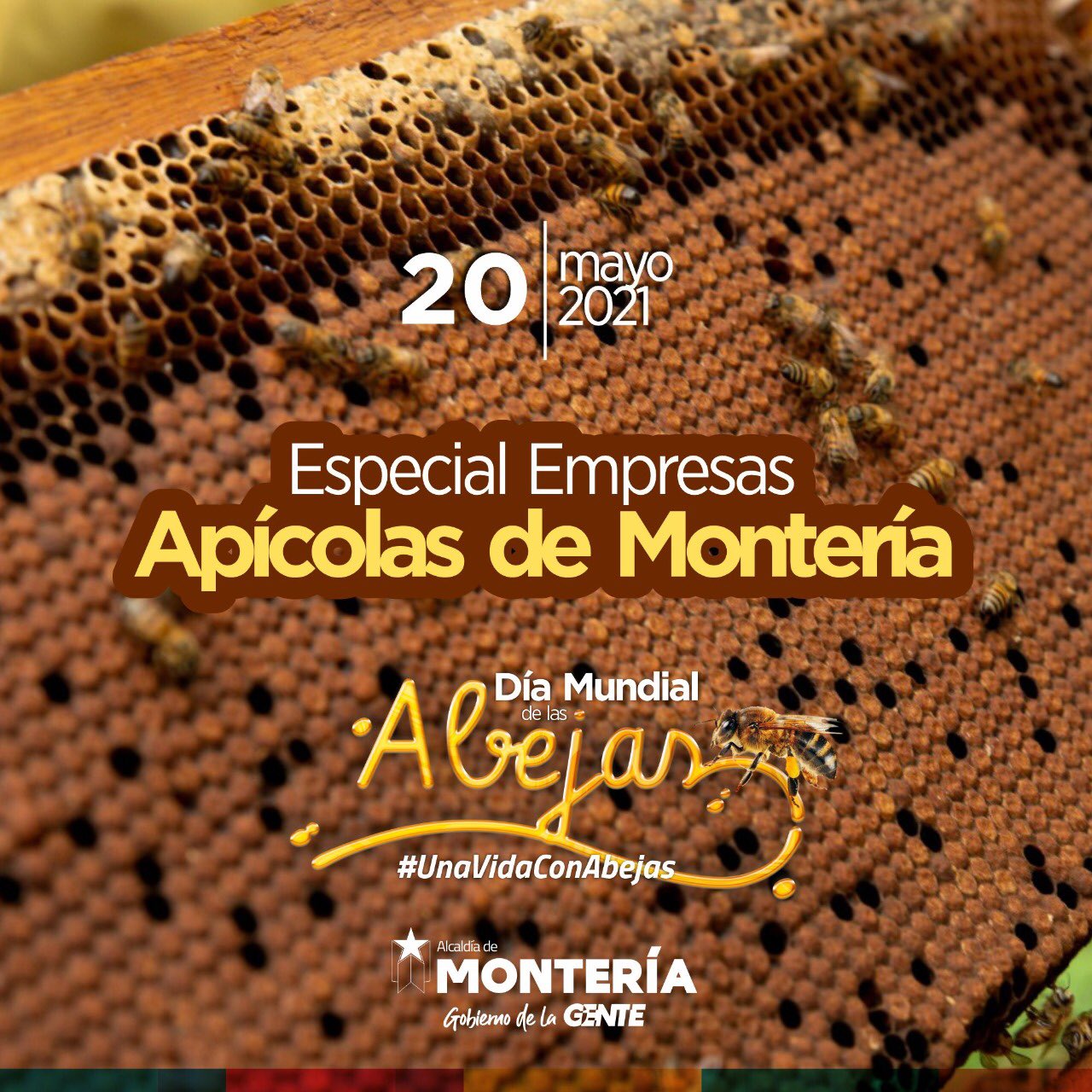 Punto de exclamación Fragante arrojar polvo en los ojos Twitter \ Alcaldía de Montería على تويتر: "En el #DíaMundialDeLasAbejas  🐝destacamos a empresas apícolas🍯 de la ciudad en este especial  #UnaVidaConAbejas . 🐝Te invitamos a apoyar este importante sector, con la  compra