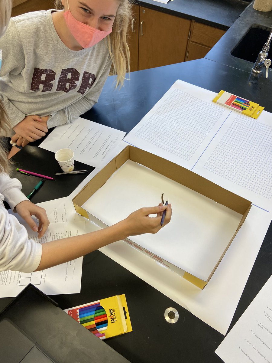 MacchiaScience's tweet image. Who’s worm will have the highest average speed? #mathinscience #superwormlab
