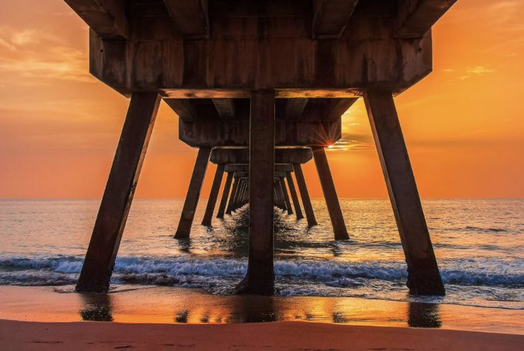 sirsapient's tweet photo. Auction is live!!

“A glimpse from below” - @SANZEi333 

https://t.co/d9IJD5UWXK

@davinci_gallery powered by @harmonyprotocol 

#cleanNFT #nft #nftcollectors #photography #HarmonyONE $one https://t.co/9fXX0FfEZa