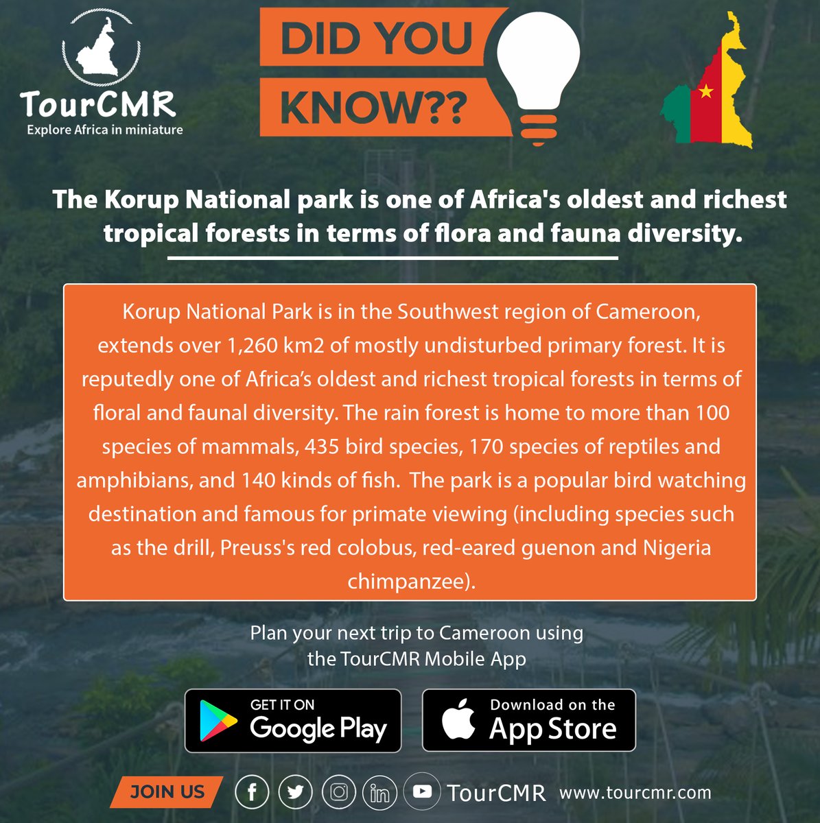 TourCmrApp's tweet photo. CAMEROON IS BLESSED🇨🇲🇨🇲
Did you know the Korup National park is one of Africa's oldest and richest tropical forests in terms of flora and fauna diversity?
#tourCmr #tourCameroon #exploreCameroon #travelCameroon https://t.co/EtIDJzJoYS