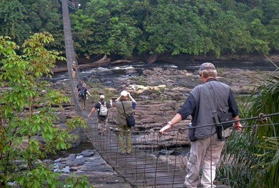 TourCmrApp's tweet photo. CAMEROON IS BLESSED🇨🇲🇨🇲
Did you know the Korup National park is one of Africa's oldest and richest tropical forests in terms of flora and fauna diversity?
#tourCmr #tourCameroon #exploreCameroon #travelCameroon https://t.co/EtIDJzJoYS
