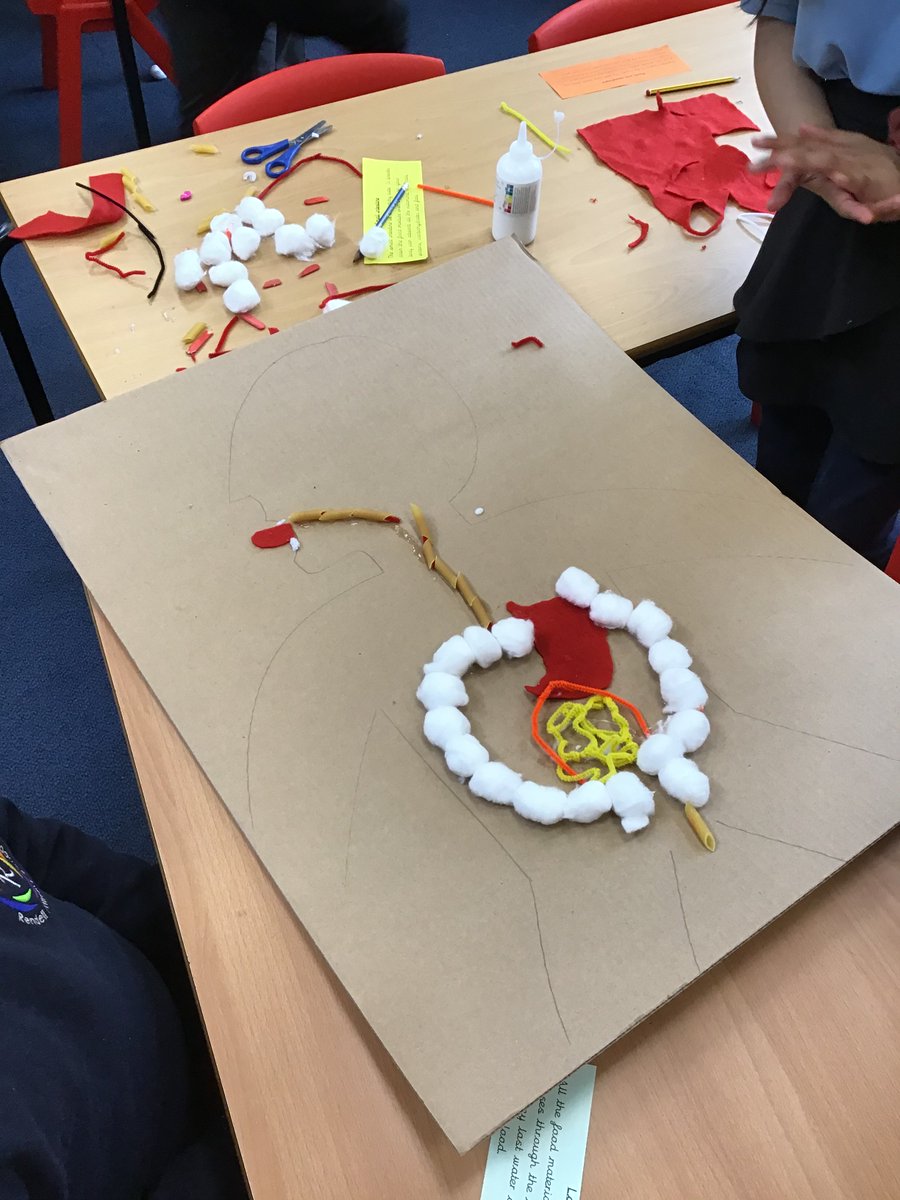 Another interactive science lesson in year 4 today. We looked at the digestive system and what each organ did. Then, we built our own! #primaryscience #primary #PrimaryRocks #science