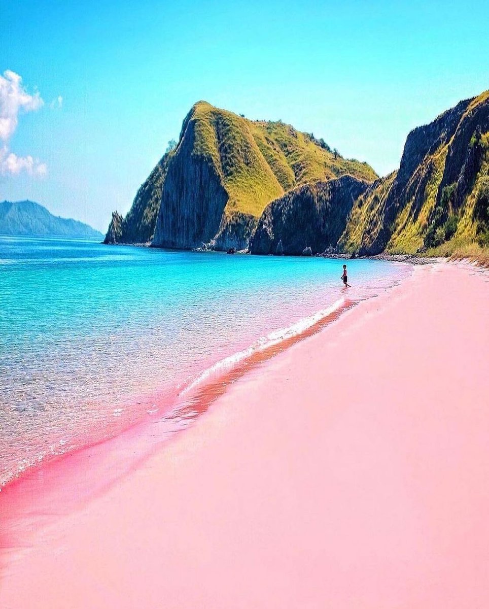 NanoResort's tweet photo. You have to see this place for yourself. Komodo Island, Indonesia🌴 📸@hendrickhartono https://t.co/FvNl7VMk7o