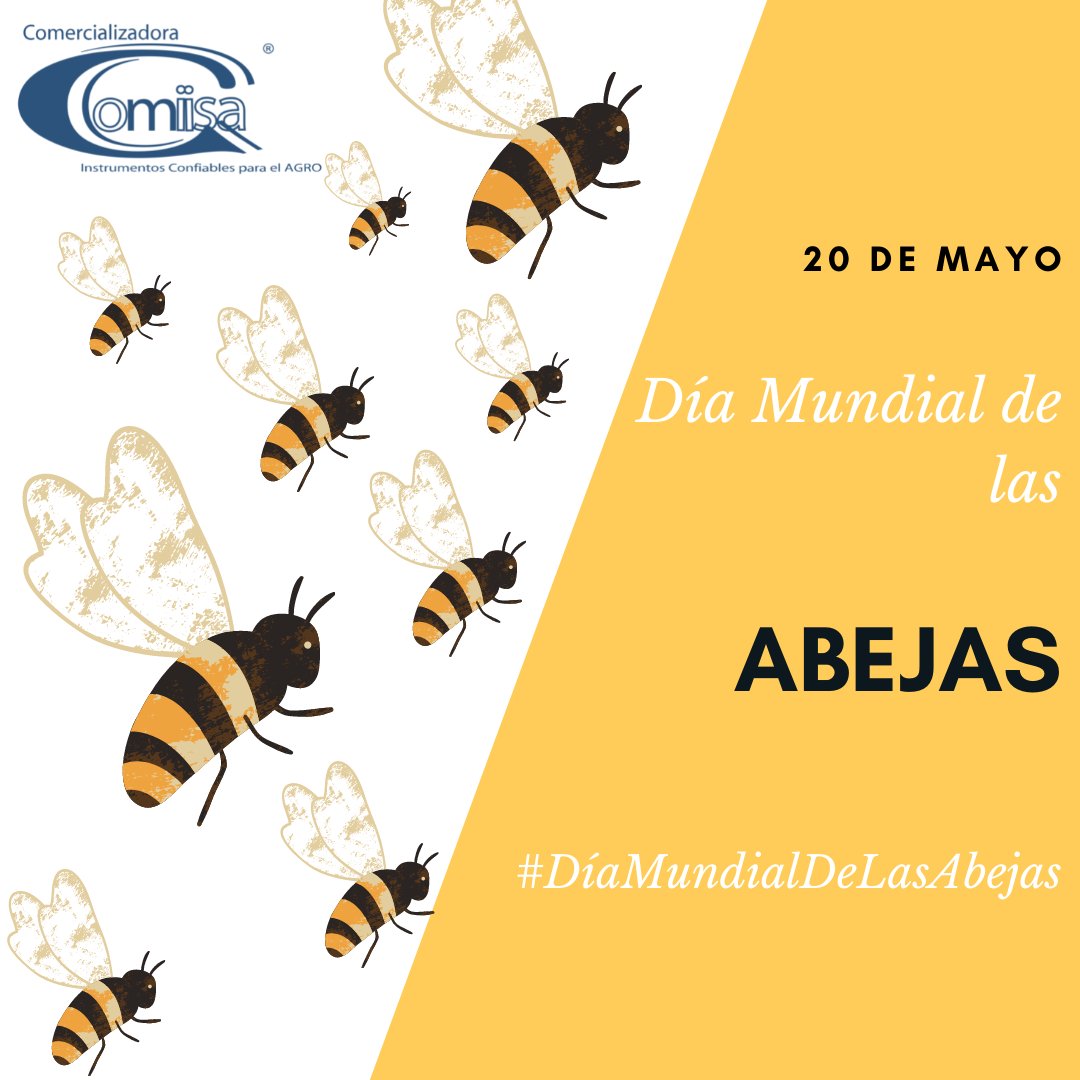 ¿Por qué las abejas son importantes? Más de la mitad de los cultivos dependen de la polinización, si ellas dejasen de existir, se vería amenazada la diversidad de alimentos & se podría producir un desequilibrio ecológico (y económico). #DiaMundialdelasAbejas #TíaComiisa🌱✨