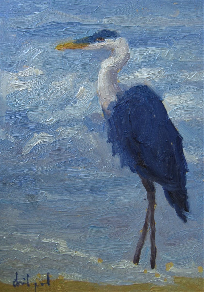 Wonderful photo!! And a great composition!!! This is a Blue Heron that I painted recently on Long Boat Key Island. 5 x 7 oil on panel David Paul Elsea