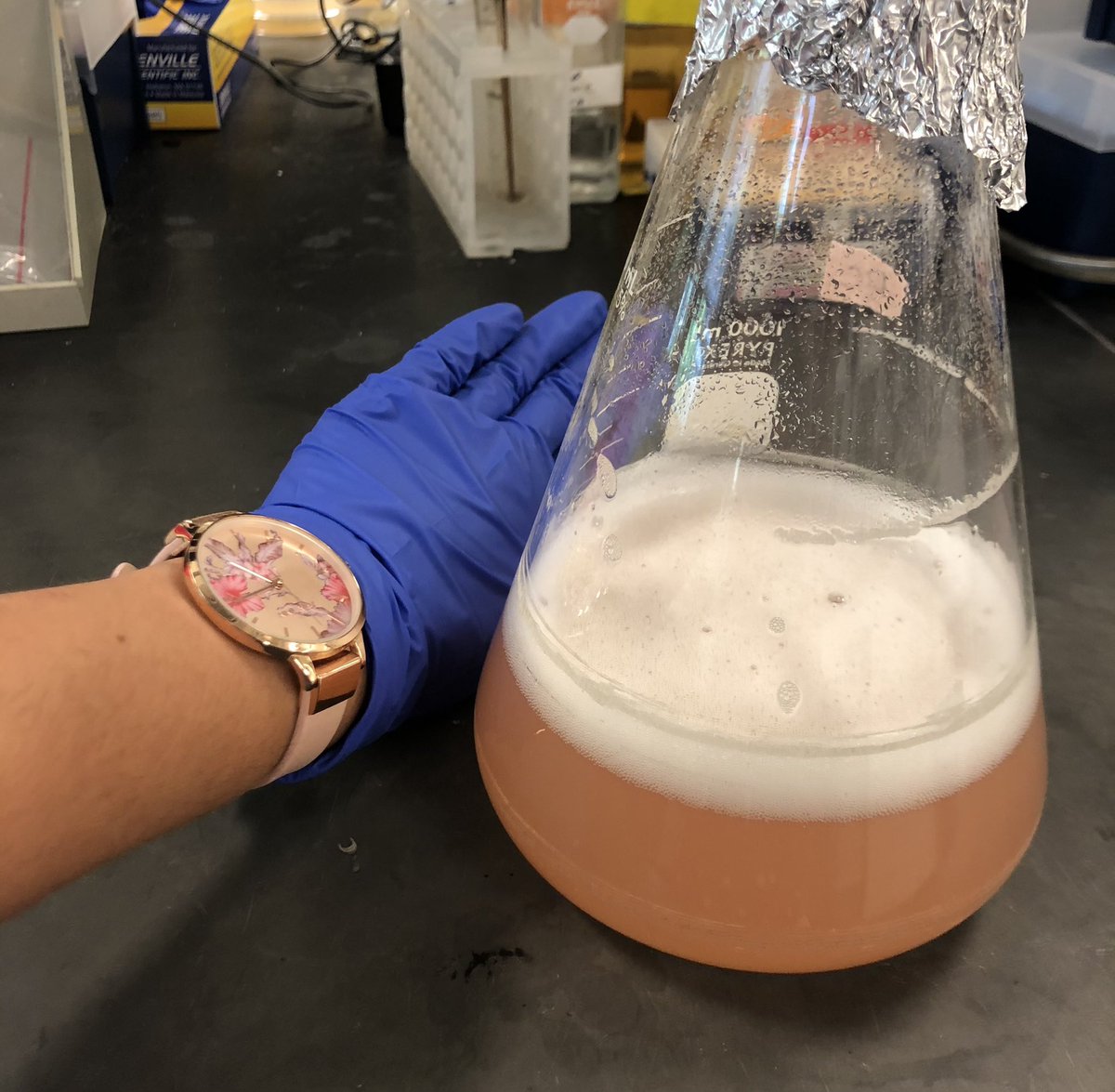 priyanka tweet media