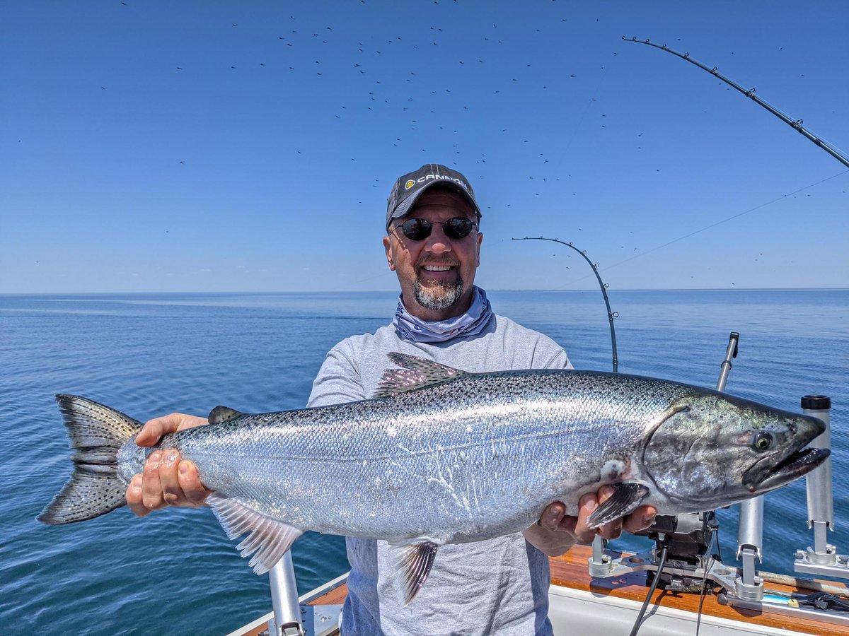 The Spring frenzy continues and <a href="/Crazy_Yankee_SF/">Captain Richard Hajecki</a> is putting his gear to work on some solid Lake Ontario salmon and trout! #CannonDownriggers #CannonOptimum #RunDeep