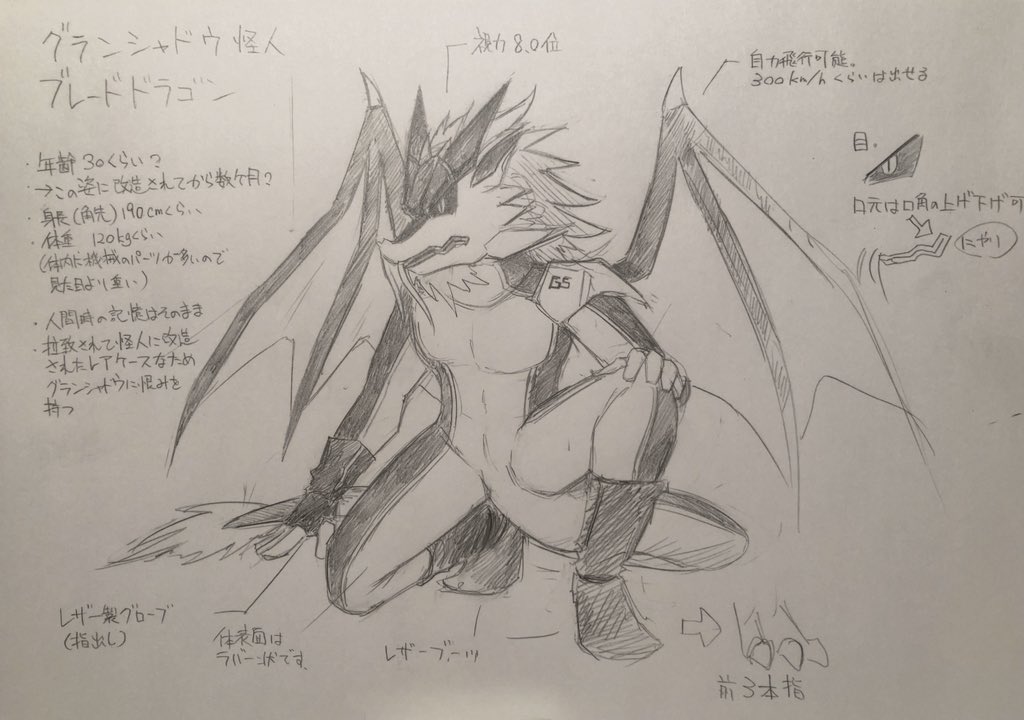 ウチのブレードドラゴン、
ブラッシュアップしました。

もし描かれる方がいたらご参考までに。 