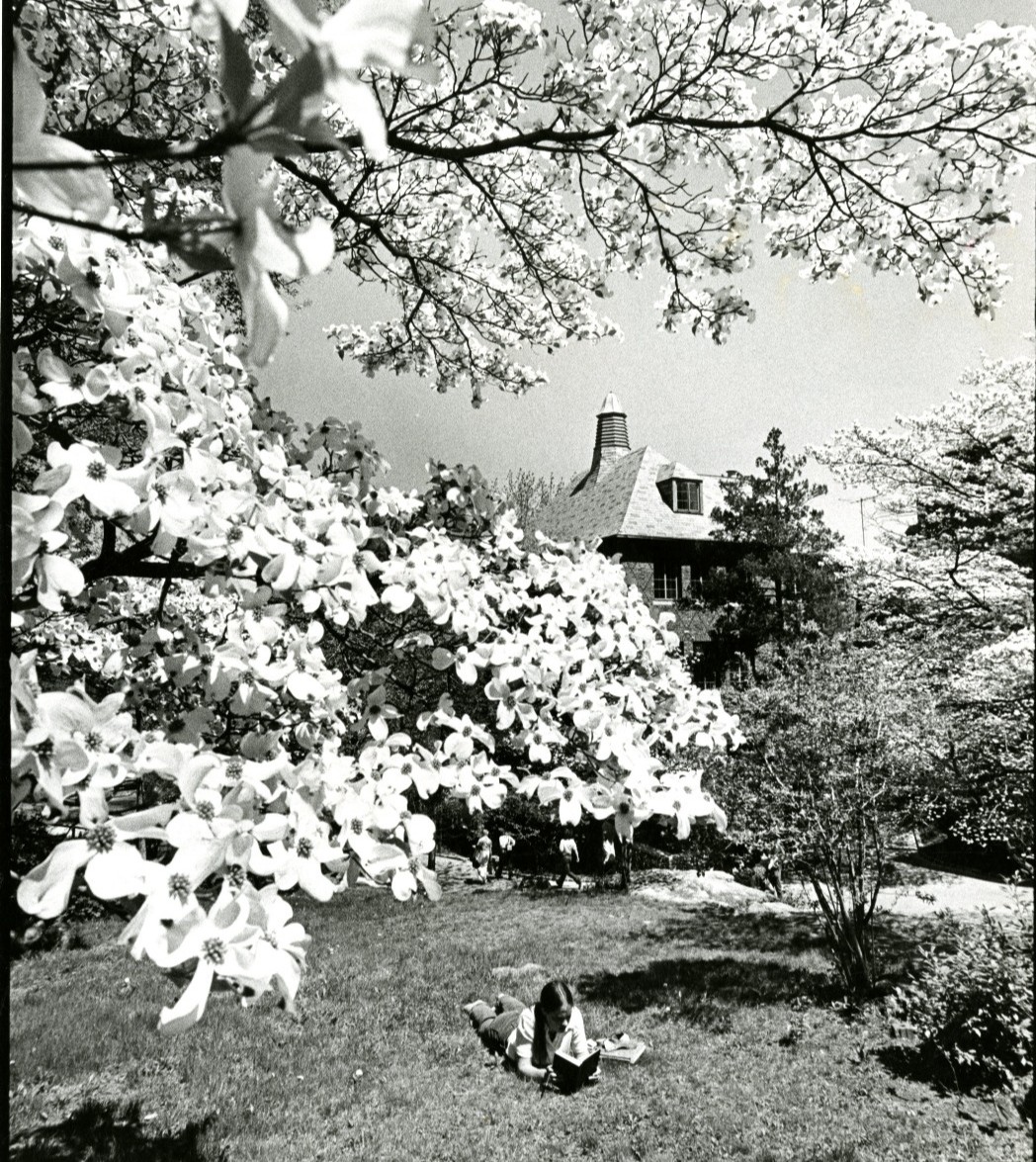 SLCLibrary's tweet photo. #tbt Student studying outdoors in springtime

Photography by Gary Gladstone and courtesy of the Sarah Lawrence College Archives. 

#archives #slctogether #reading #springtime #slclibrary #slcarchives #librariesofinstagram https://t.co/xgnrItuWsw