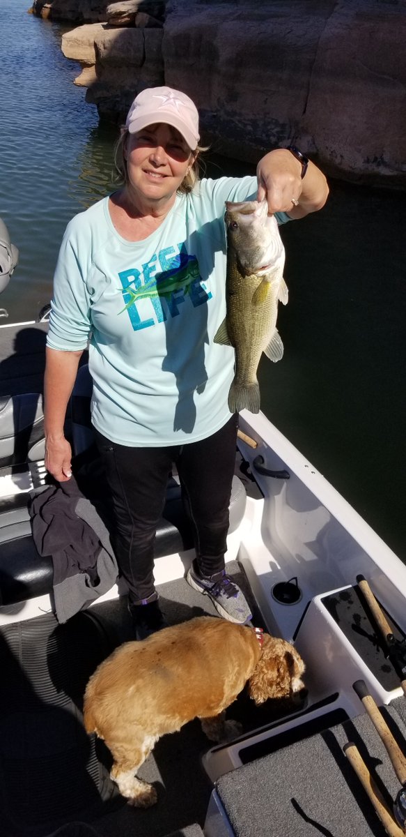 NMDGF's tweet photo. We are getting a lot of great fishing pictures from around the state. What are your plans for this weekend? #fishnm #wildnm #nmfishingchallenges #nmgameandfish #fentonlake https://t.co/t3U1tyfmw9