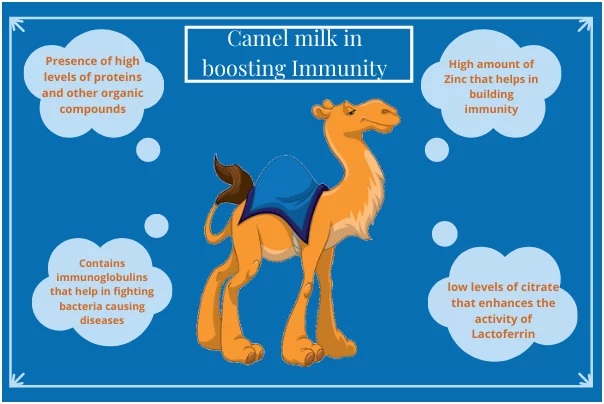 One of the most important benefits of Camel milk is that it helps in building the immune system of our body.
For more details visit:- aadvikfoods.com/camel-milk-in-…
#immunebooster #immunity #immunityboost #immunitysupport