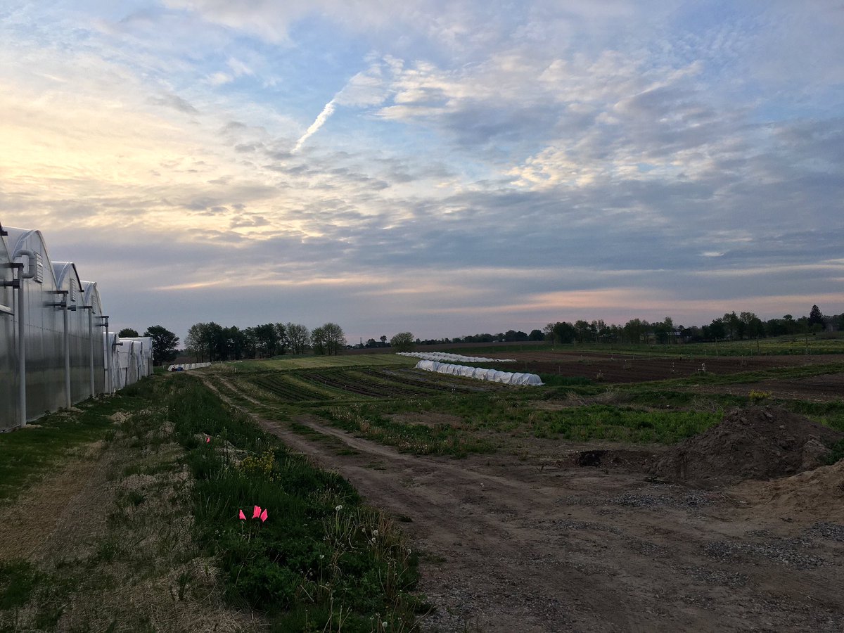 JoChilicote's tweet photo. You just can’t beat mornings on the farm. https://t.co/CiyPENVhNj