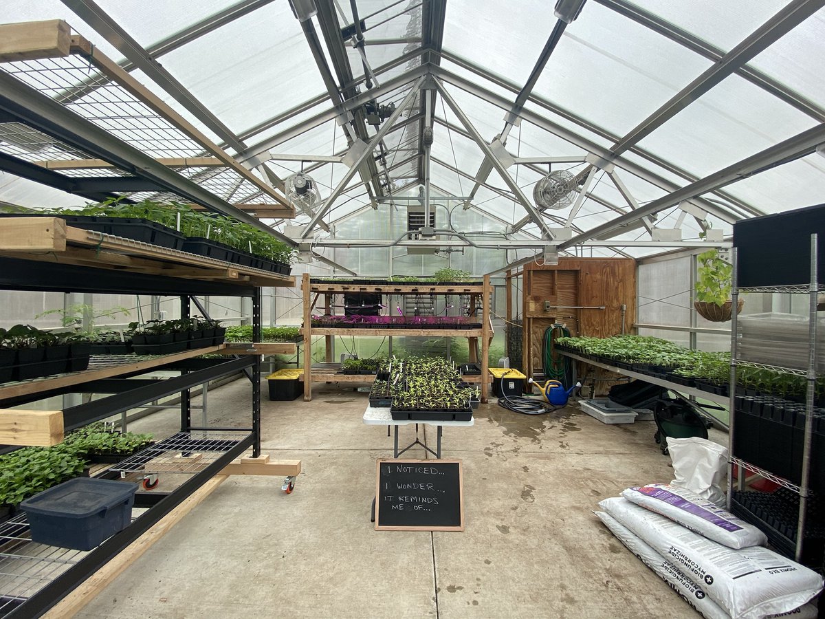 YouthFarmMN's tweet photo. This week, Farm Stewards hosted greenhouse activities for @CherokeeSPPS students! 4th and 5th graders spent time exploring, smelling, and learning about herbs and potting up (moving young plants to larger containers so their roots can continue to grow) pepper plants🌶️ https://t.co/kHX685BZHM