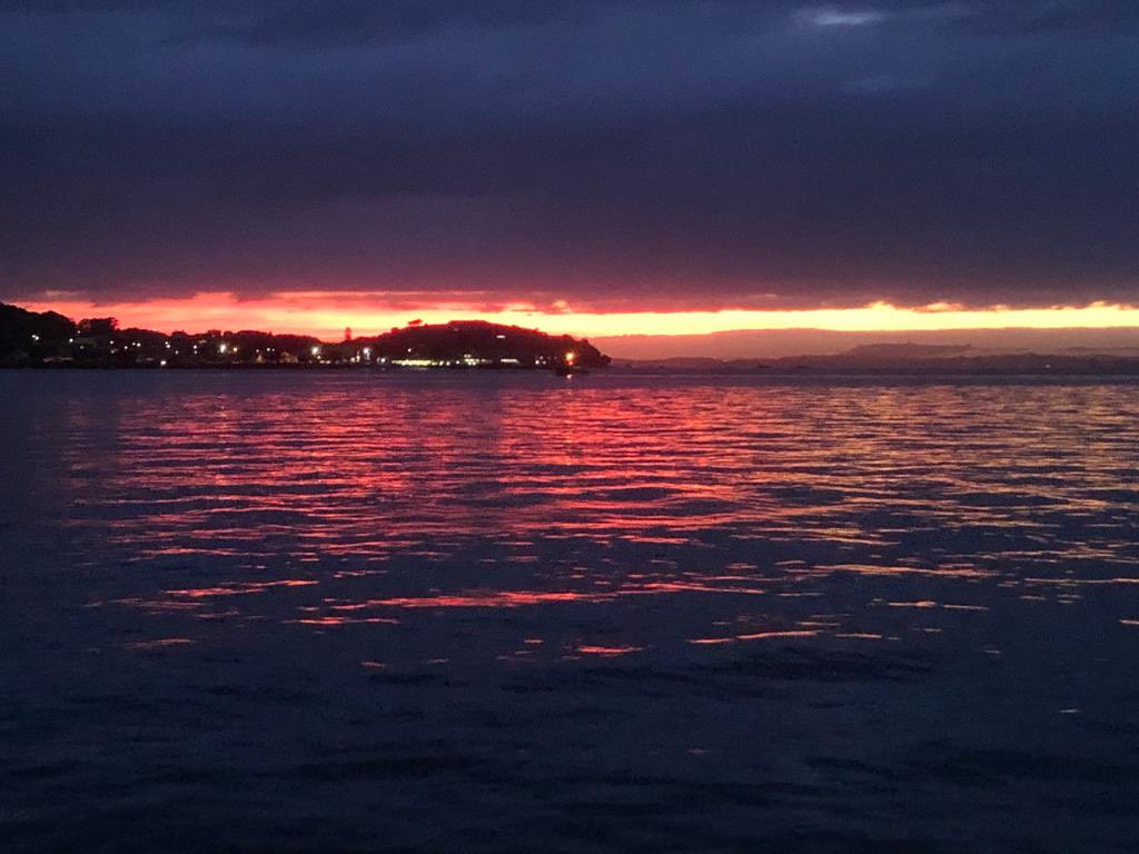 Elcapitano (@elroy_elroyking) on Twitter photo 