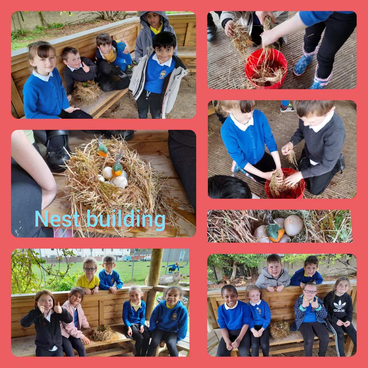 RaigmorePS's tweet image. P2/3 were more than happy to get their hands wet and dirty in order to carefully weave their robin's nests. #raigystars #shiningbright #lessonsfromnature @RSPBScotland @WildlifeTrusts @ThinkNature_ 🐦