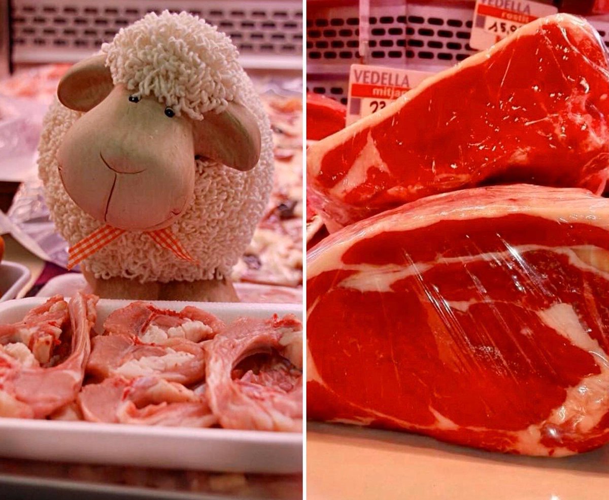 mariamercecarns's tweet photo. Segon dilluns de Pasqua. Barbacoa o forn. Xai, cabrit o vedella, opcions pel cap de semana 🧆🥩Truca i fes el encàrrec a ☎️933195568 o 📲619180731 https://t.co/maLnpt6fhM