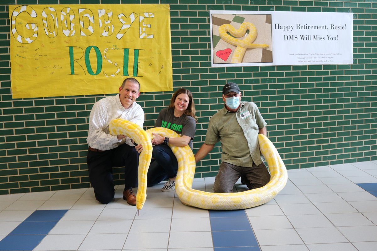 Carrollisd's tweet photo. Farewell, Rosie! After 15 years at Dawson Middle School, Rosie the Albino Burmese Python is retiring and moving to the Abilene Zoo! #OnceADragon #AlwaysADragon https://t.co/U0TmUzqeVg