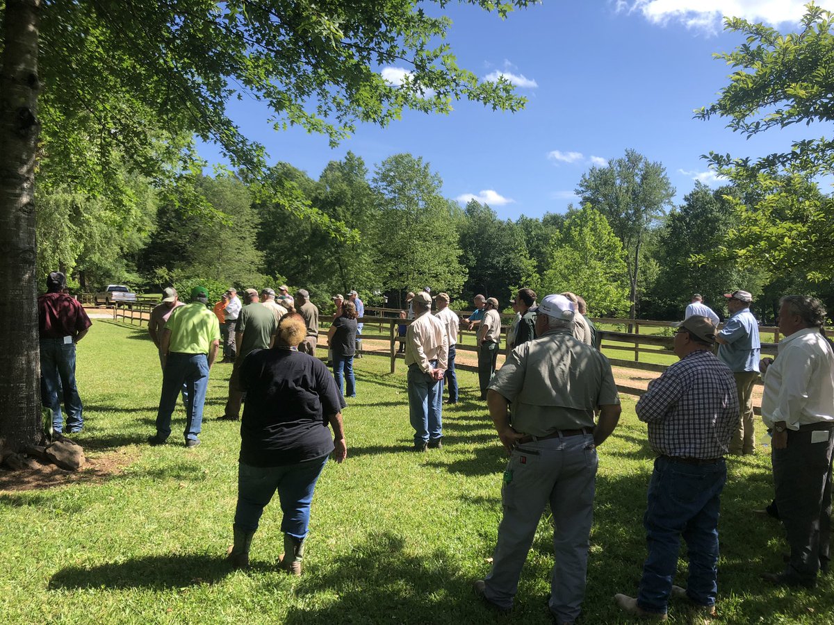 Calhoun County Extension tweet media