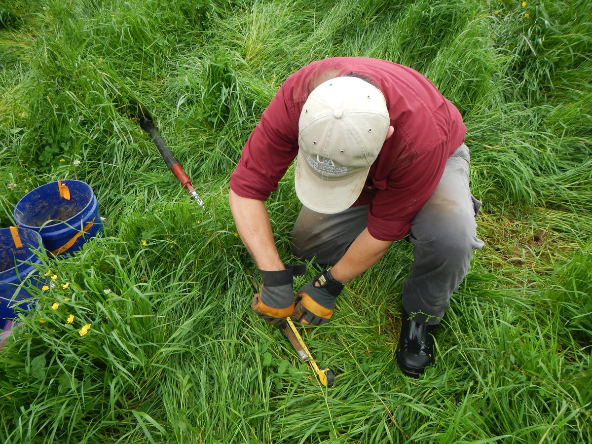 AR_WaterQuality's tweet photo. Took soil samples at the Morrow Discovery Farm.  A variety of silt loams were collected including Captina silt loam, Johnsburg silt loam, Pembrok gravelly silt loam, Pembroke gravelly silt loam, and Clarksville extremely gravelly silt loam. #siltloam #soil #forage #ArkansasAg https://t.co/lIc1aRfqxh