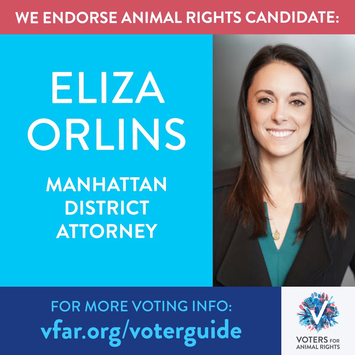 theanimalvoters's tweet photo. We are proud to endorse Eliza Orlins for Manhattan District Attorney!

@elizaorlins supports all of our 2021 animal rights agenda items.

A vote for Eliza is a vote for the animals. Vote for her on June 22 🗳 https://t.co/AX0APGO5Gj https://t.co/MioTNvduBC