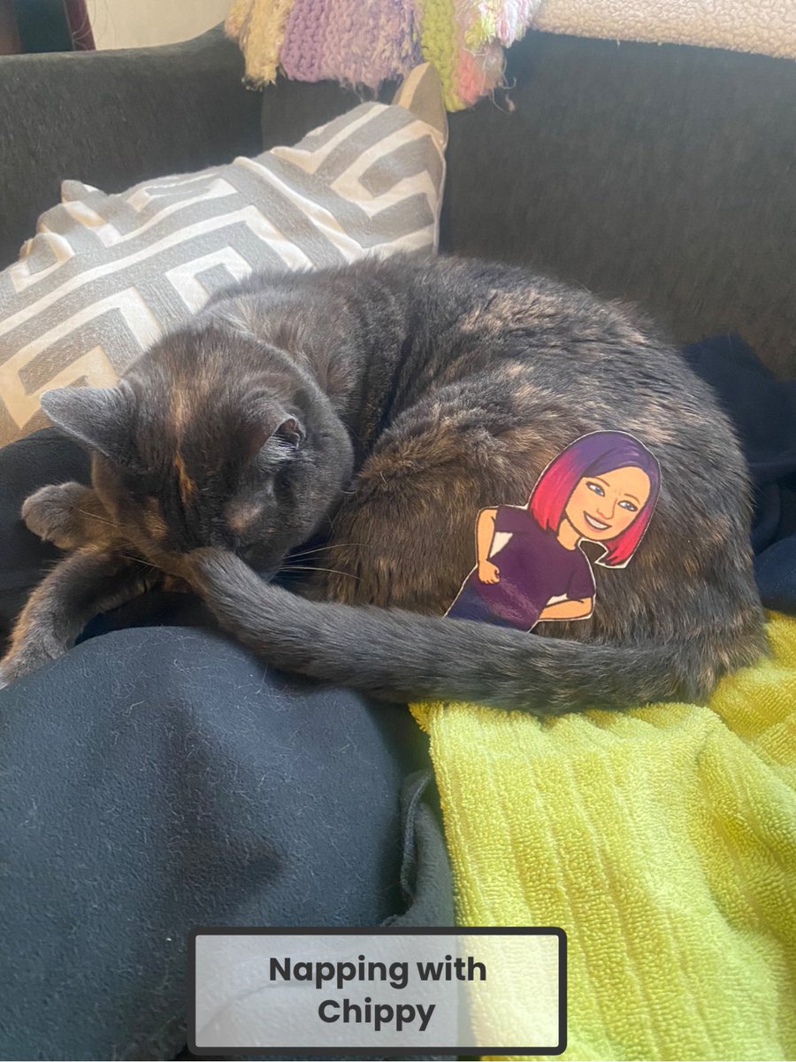 MrsSaundersCG's tweet image. Thursday afternoons are great for naps with Chippy the Cat #flatmrssaunders #togetherwhenapart @FMPSD @BeaconhillFMPSD @abbott_graham