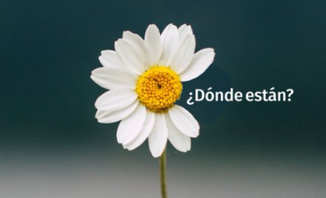 m__cris's tweet photo. #MarchaDelSilencio2021
Presente https://t.co/6u3bmA64mR