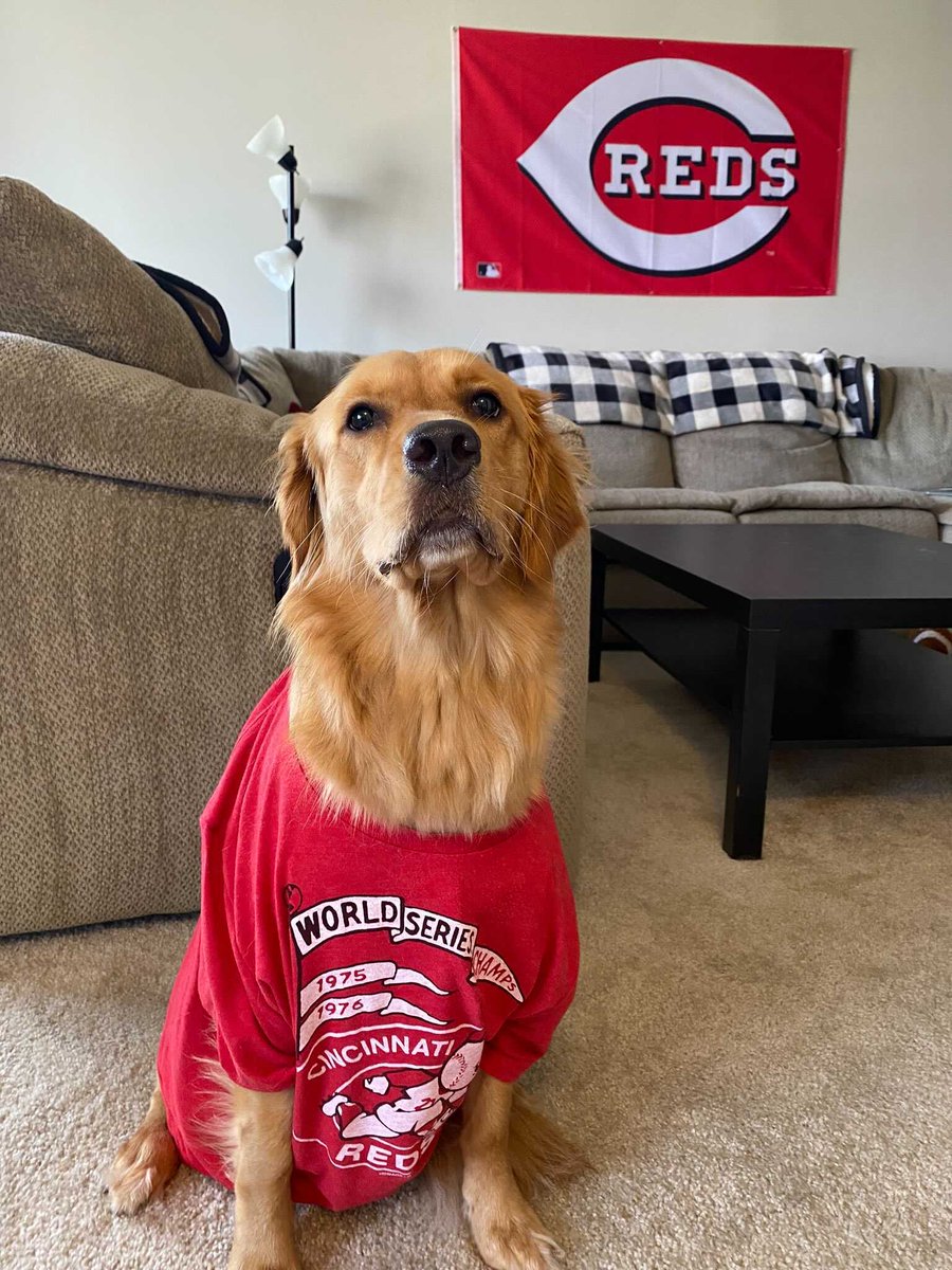 Reds's tweet photo. Today's game has concluded.

Please post pics of your doggos. We'll start: https://t.co/HopgX0mfQt