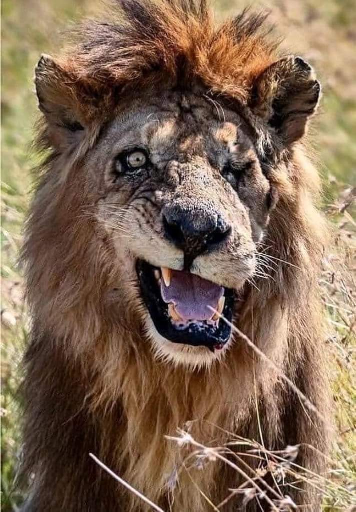 Abd alhadi Ebrahim (@pm3rlmwiudjpmsk) on Twitter photo 