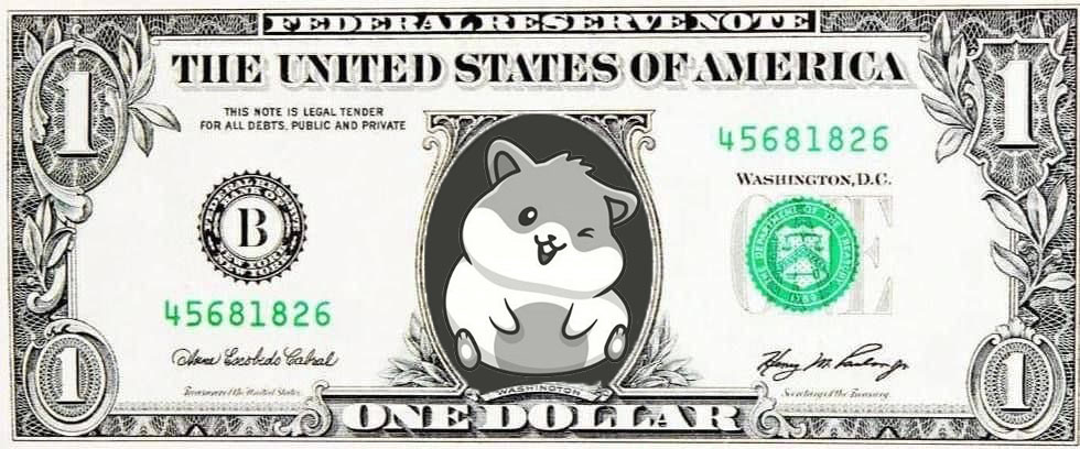 Hamster Token 🐹 tweet media