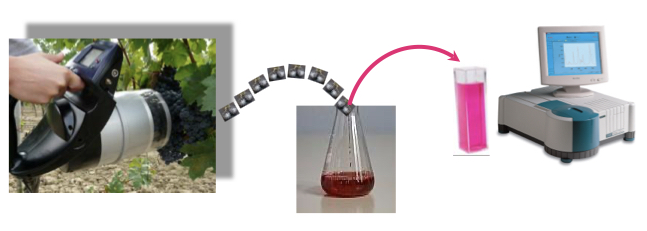 scatol8's tweet photo. Baril8 and Circular viticulture
https://t.co/HL2PJycyyS https://t.co/n62cSqYpDl