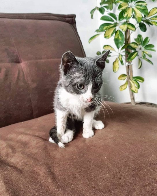 Watch Solange Sun ☀️'s leaked NSFW photo on TwXstars