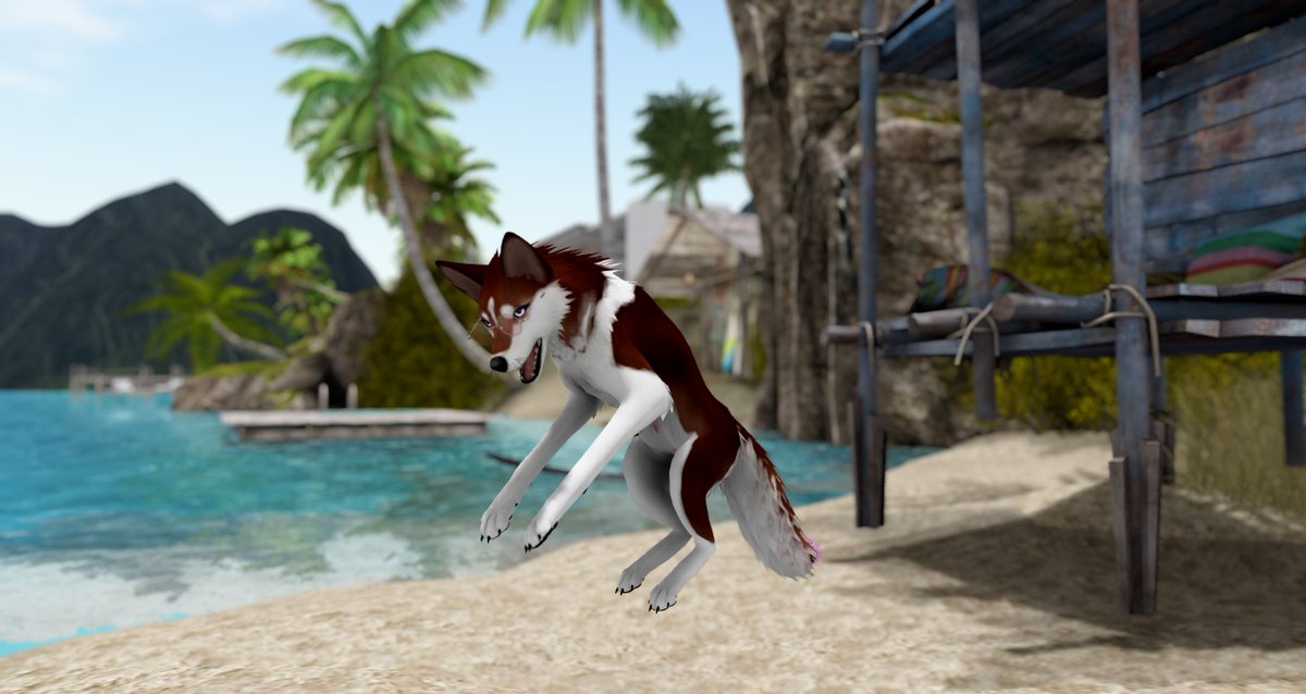 Come on in, the water is great~!! ♥

#SecondLife #furry #feral #secondlifefurry #sl #slfurries