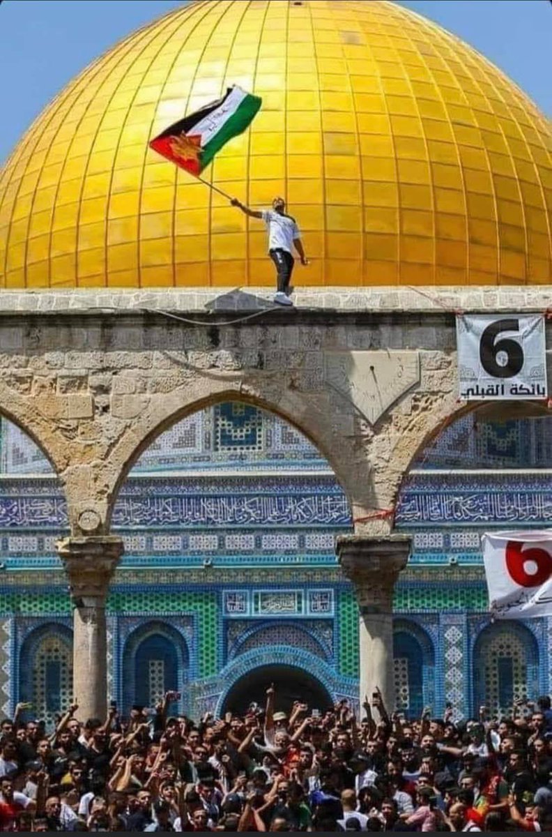 karlabs77's tweet image. Jerusalen o Jerusalen,capital eterna de Palestina.