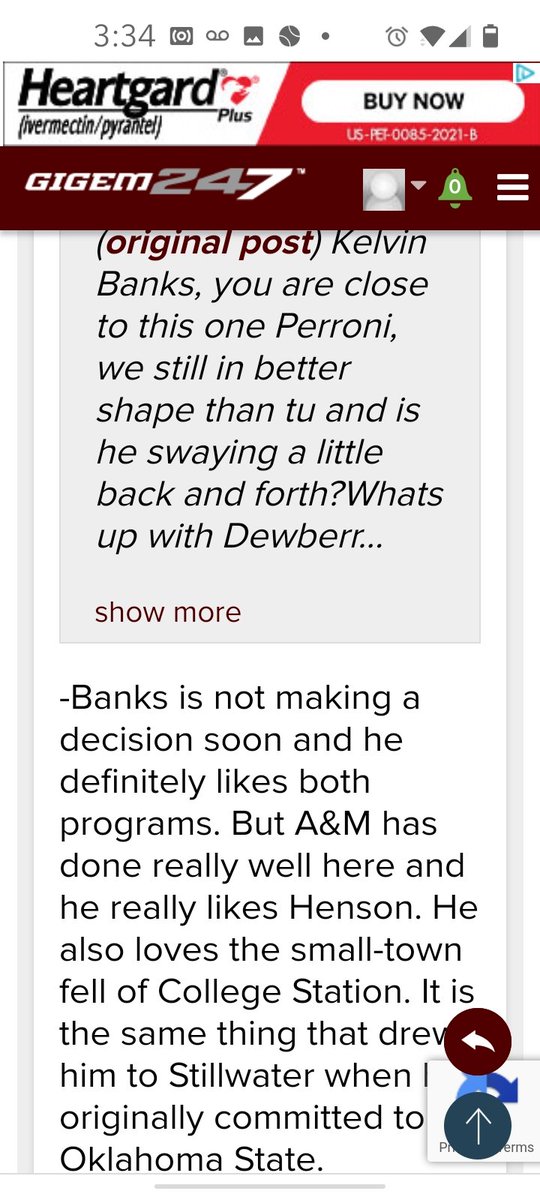 E1294yPWEAMmMWg?format=jpg&name=medium