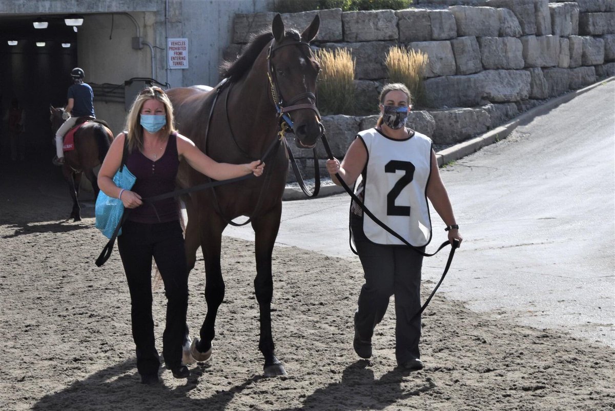 Misses_Love666's tweet photo. @EJWilson81 @ONThealth @celliottability @fordnation @WoodbineTB @ONTRacing @HBPA_ONT Outside and #masked #letusrace https://t.co/d9OR4o8fZc
