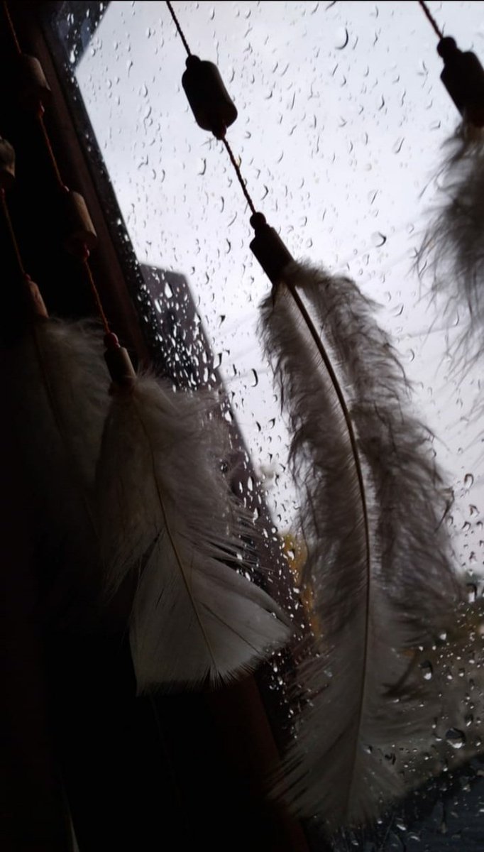 Amor por los días de lluvia.💞