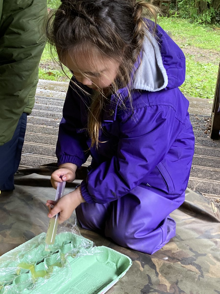 World bee day - celebrating the bee community in MPP And  Nursery