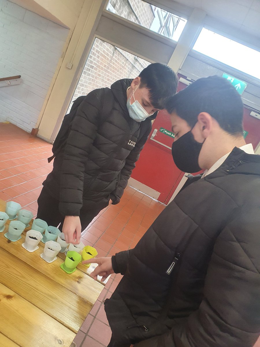 FoodKss's tweet image. A special thankyou to 2G for helping to set up the kits for the next @KSSFamilyLearn activity! 🌱 #Sustainability #herbs #outdoorlearning @KSS_Ecogroup @WeronikaFare